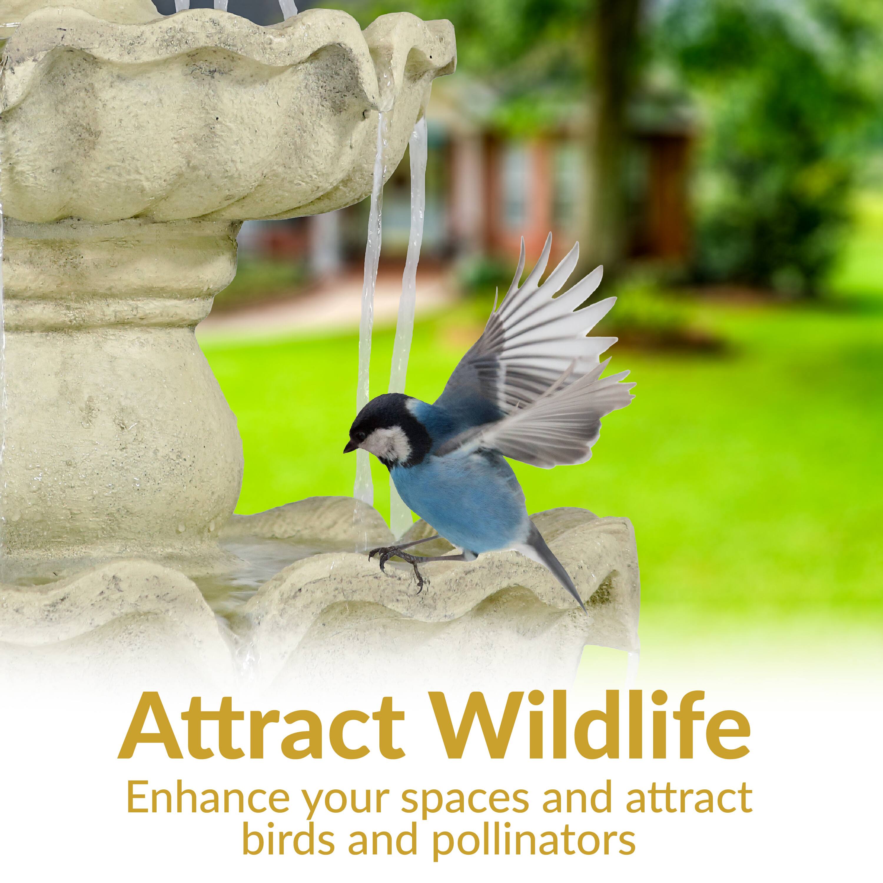 Attract Wildlife  
Enhance your spaces and attract birds and pollinators