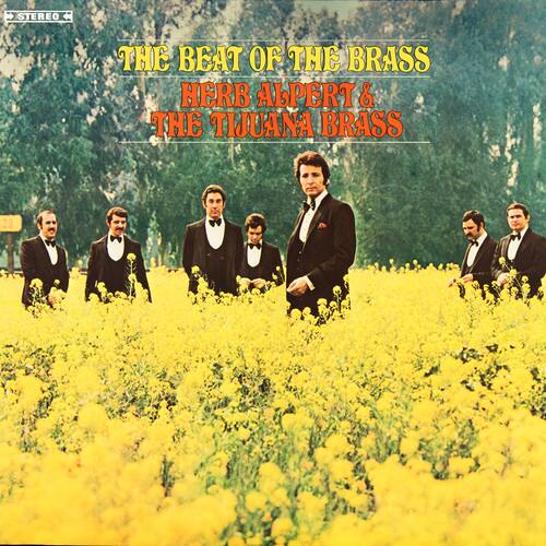 STEREO

THE BEAT OF THE BRASS  
HERB ALPERT & THE TIJUANA BRASS