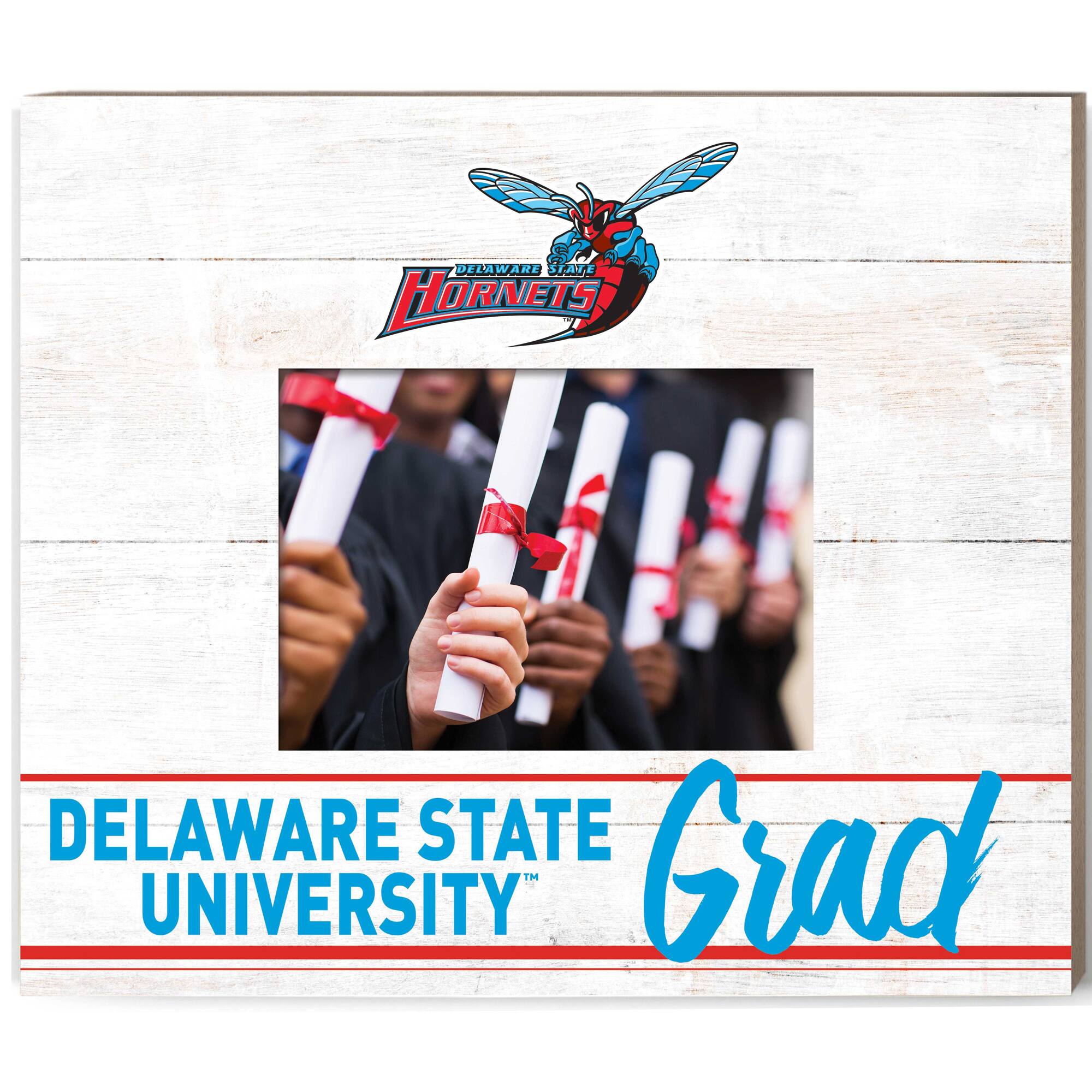 Delaware State Hornets 11'' x 13'' Grad Picture Frame