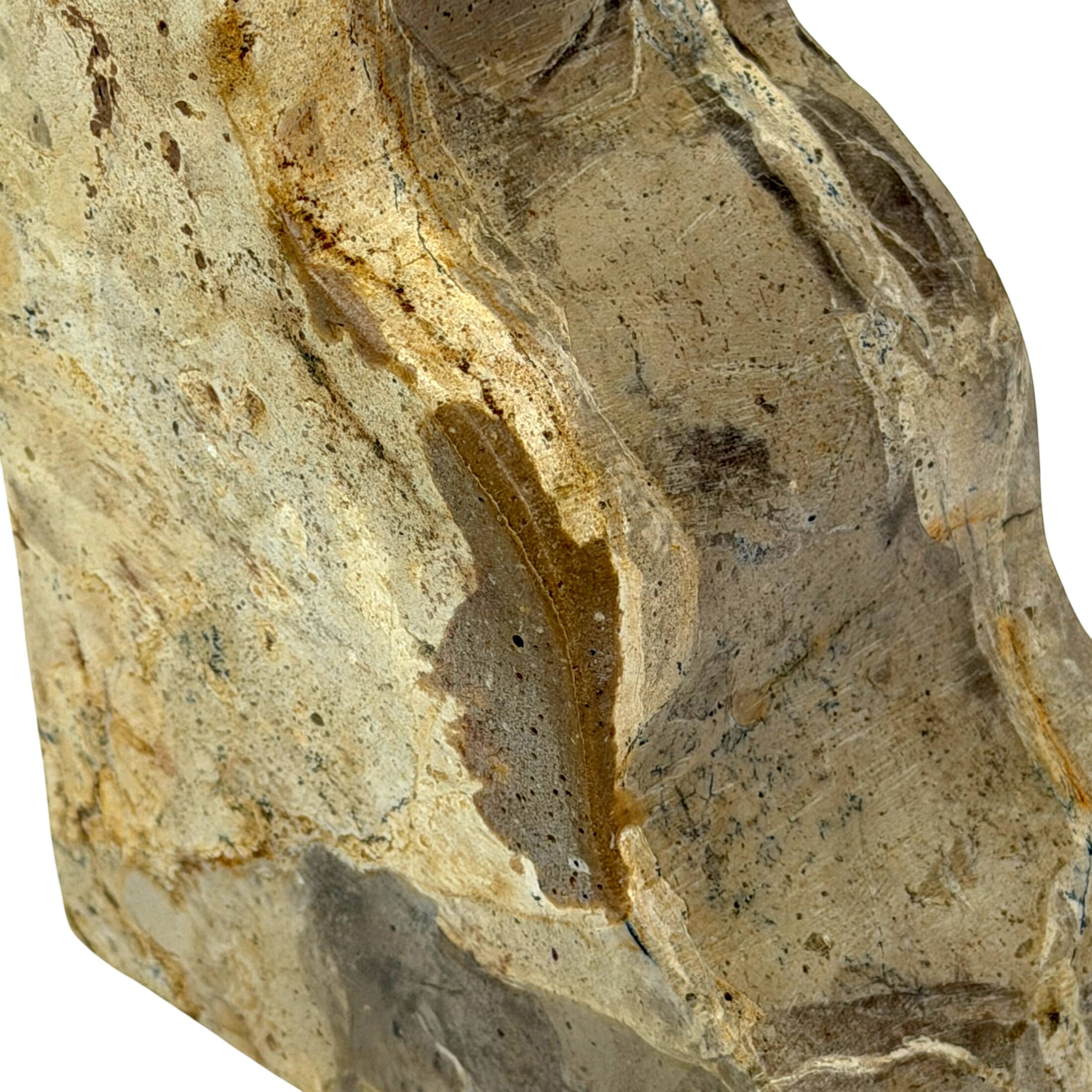Alt View 8. Things2Die4 - Scalloped Marble Bookends Set of 2 Natural Veined Stone 9 Inch Wide Felt Pads - Natural.