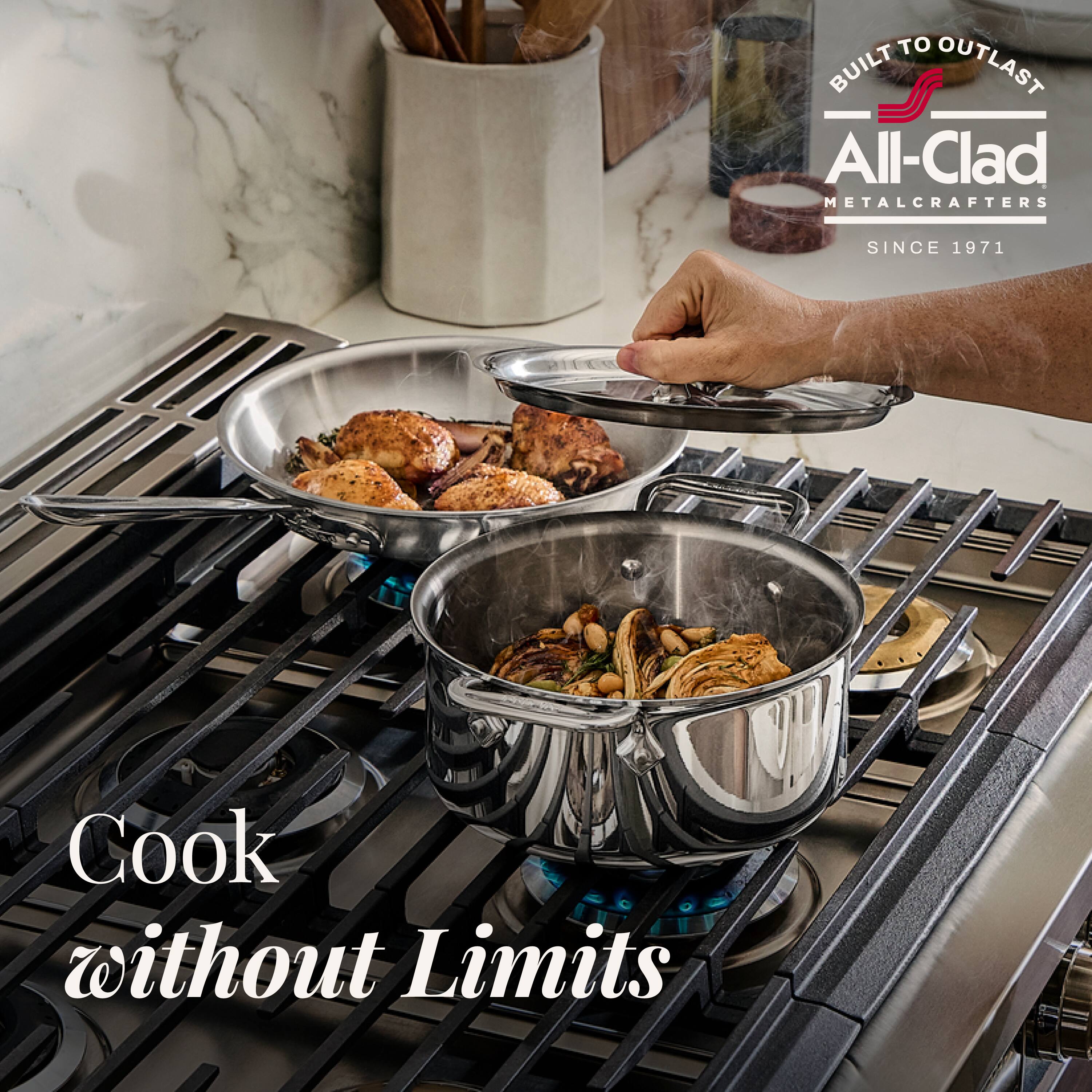 BUILT TO OUTLAST  
All-Clad  
METALCRAFTERS  
SINCE 1971  

Cook without Limits