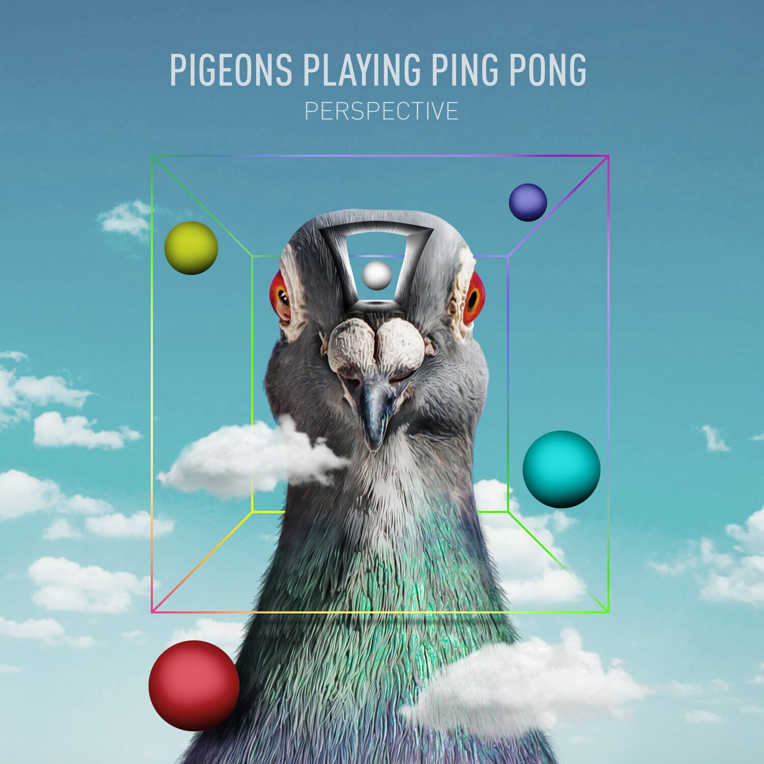 Pigeons Playing Ping Pong - Perspective  - COMPACT DISCS