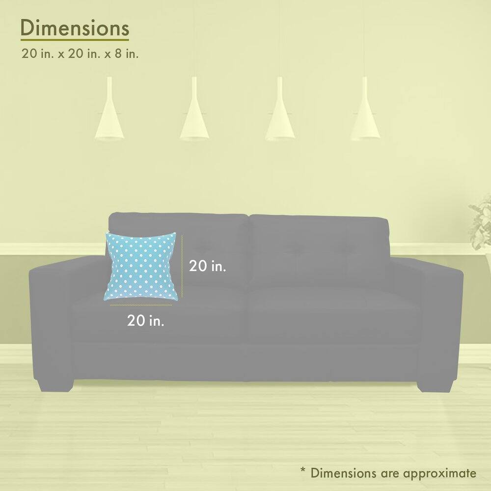 Dimensions  
20 in. x 20 in. x 8 in.  

20 in.  
20 in.  

*Dimensions are approximate