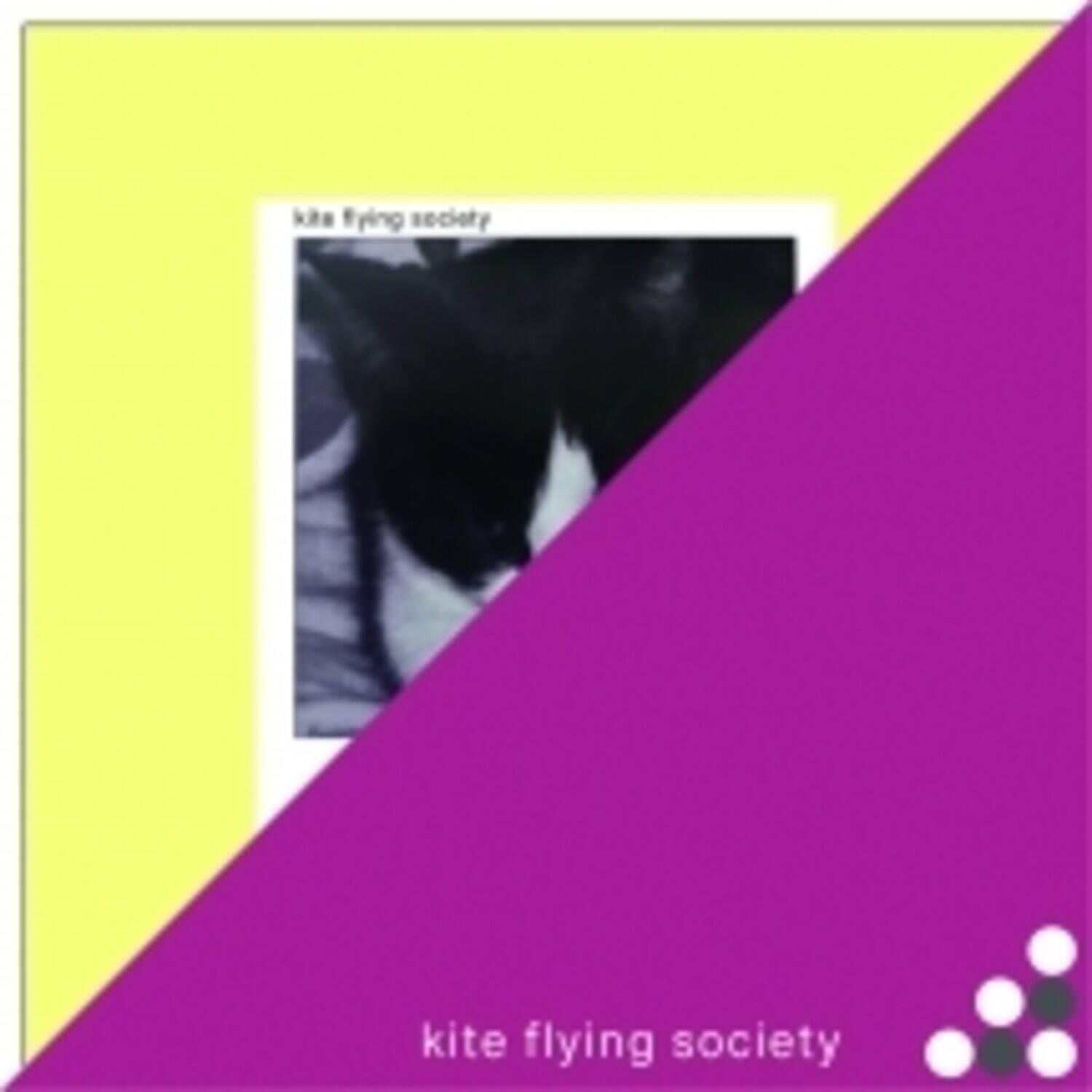kite flying society