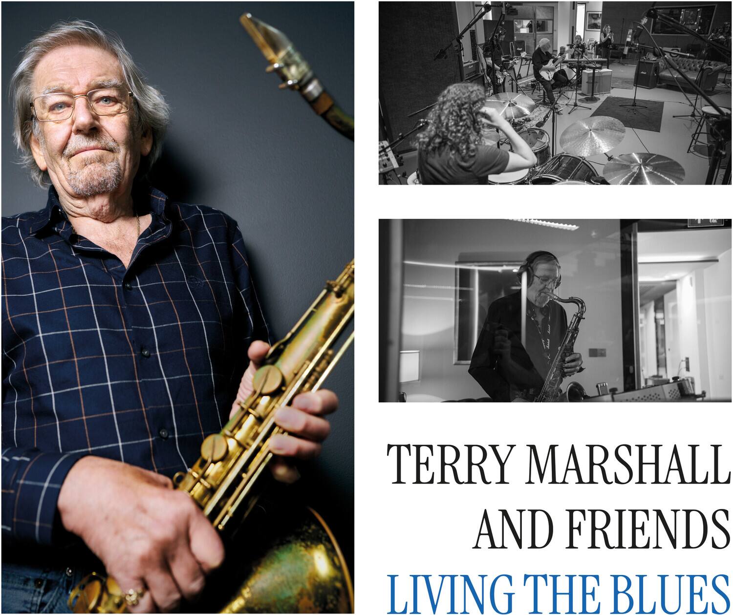 Terry Marshall & Friends - Living the Blues  - VINYL LP