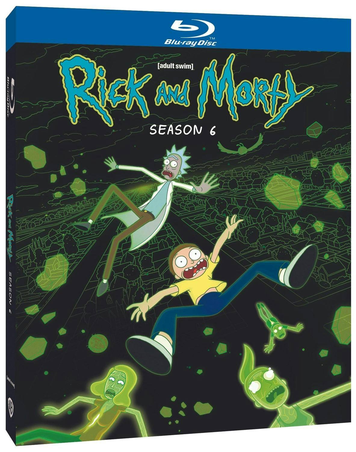 Angle. Rick and Morty: Season 6 [Blu-ray].