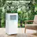 High Energy Efficiency
Embrace a green lifestyle
R32 Refrigerant
8 CEER