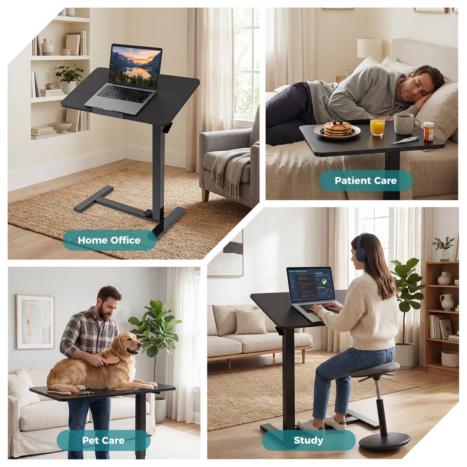 Patient Care  
Home Office  
Pet Care  
Study