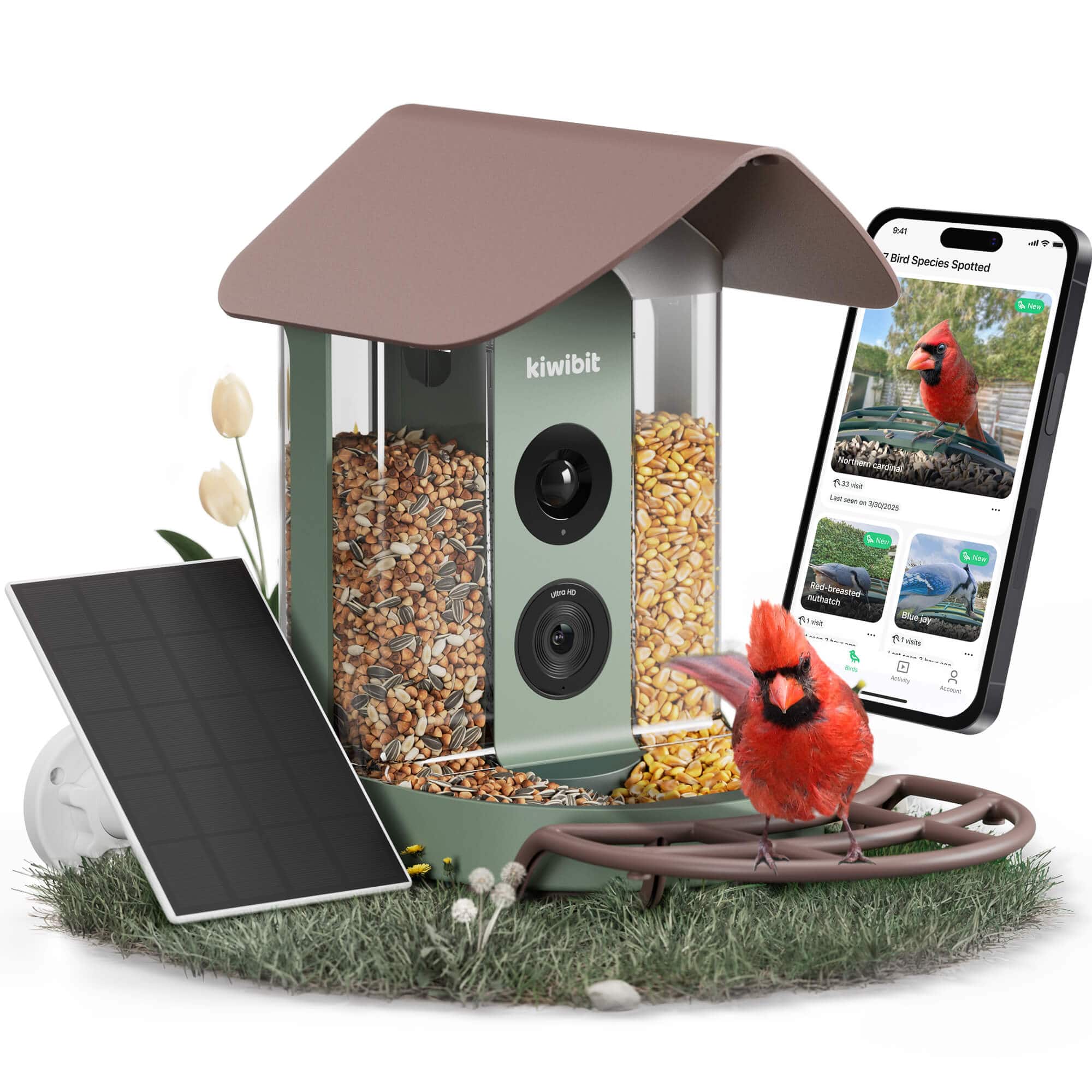 Kiwibit - Smart Bird Feeder with Camera, Solar Powered 4K, Lifetime AI No Subscription, Auto Bird Species ID, Easy Installation - Green&Brown