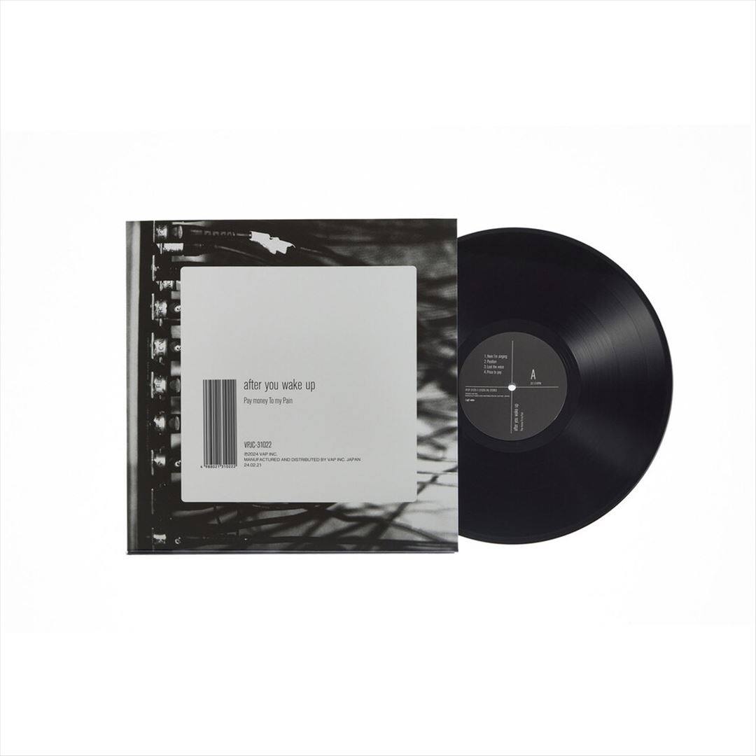 Front. After You Wake Up [LP].