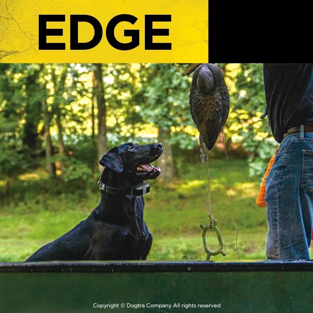 EDGE

Copyright © Dogtra Company All rights reserved