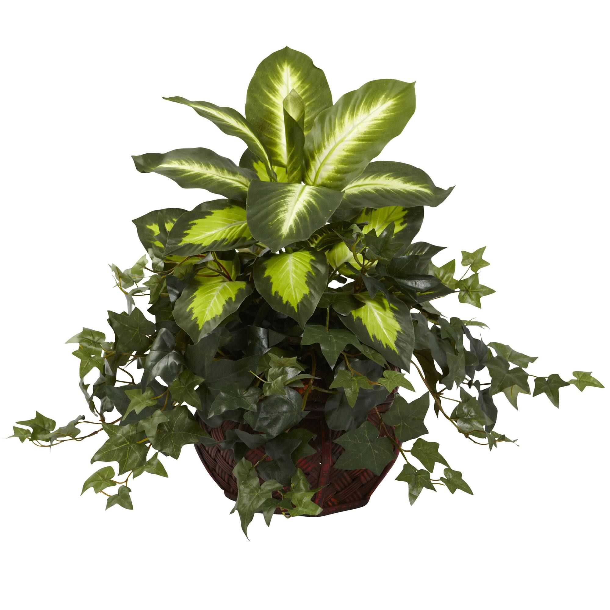 Front. BreeBe - 20" Dieffenbachia & Ivy w/Decorative Planter - Green.