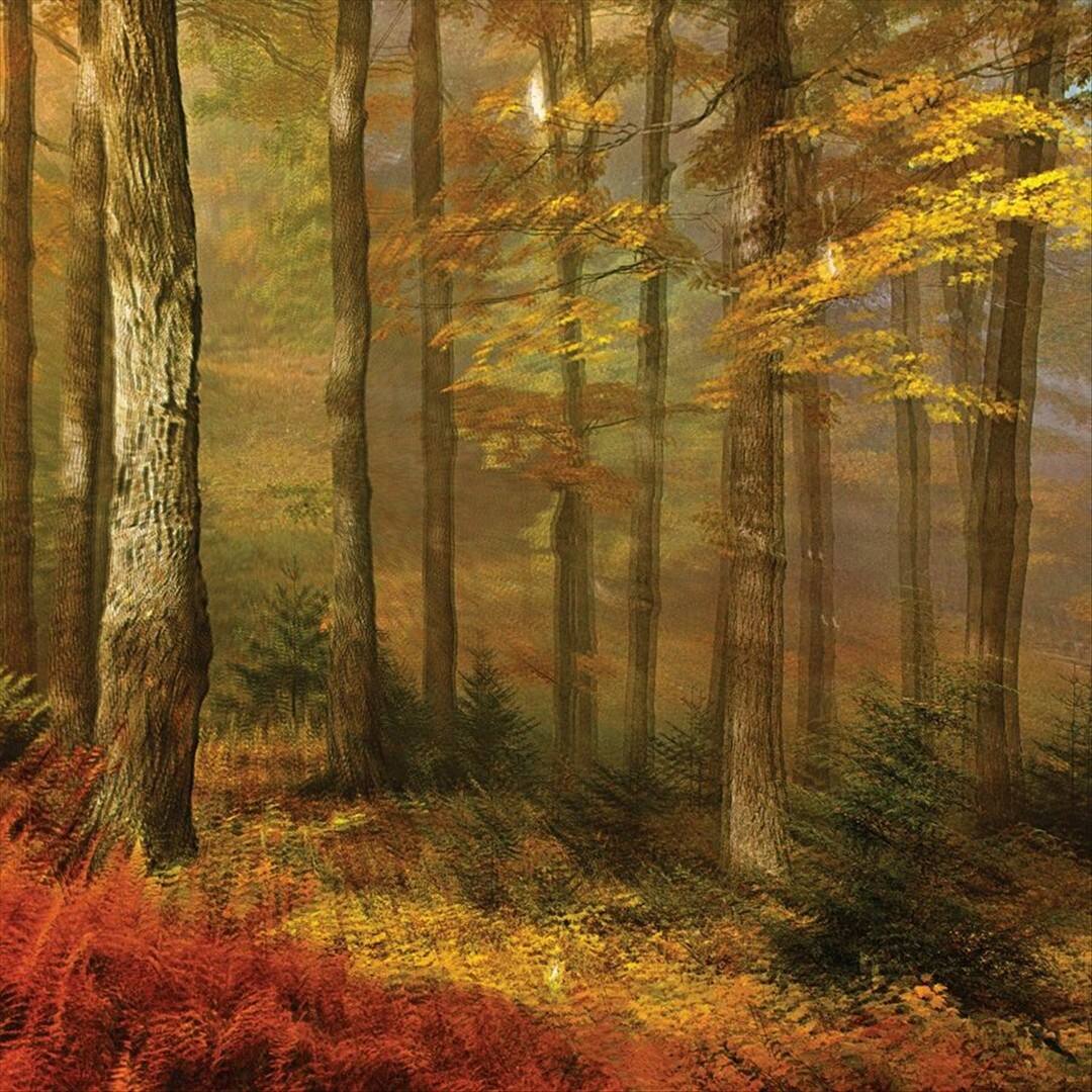 Front. Deep Tissue [LP].