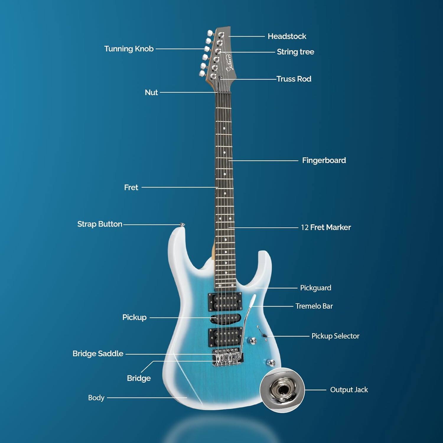 Tuning Knob  
Headstock  
String Tree  
Truss Rod  
Nut  
Fingerboard  
Fret  
Strap Button  
12 Fret Marker  
Pickguard  
Pickup  
Tremolo Bar  
Pickup Selector  
Bridge Saddle  
Bridge  
Body  
Output Jack