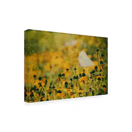 Trademark Fine Art - Ina Bouhuijzen End Of Summer Canvas Art - 19 x 12 Inches - 19x12 - Multicolor