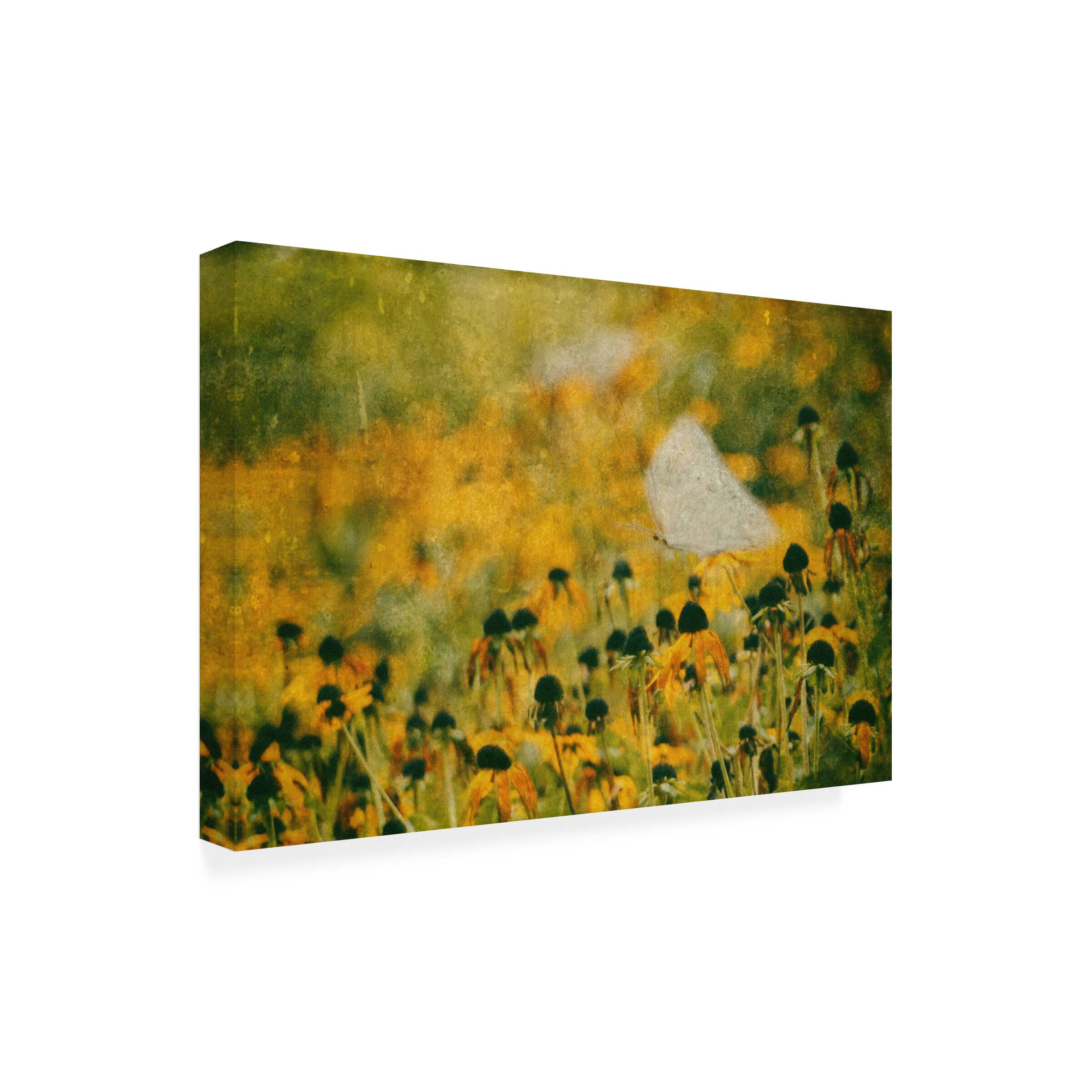 Front. Trademark Fine Art - Ina Bouhuijzen End Of Summer Canvas Art - 32 x 22 Inches - 32x22 - Multicolor.