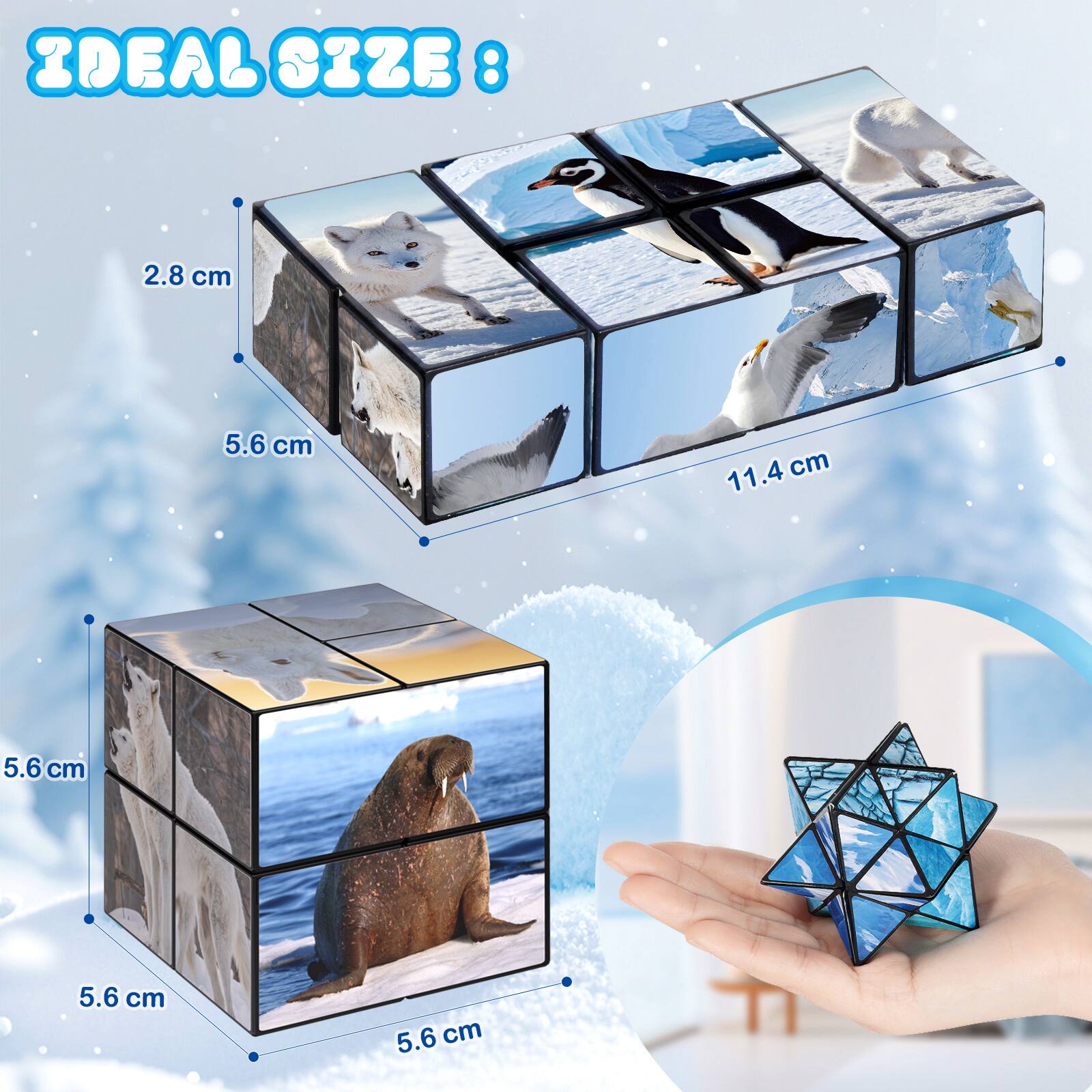 IDEAL SIZE:

ZDEAL 032B8

2.8 cm  
5.6 cm  
11.4 cm  
5.6 cm  
5.6 cm  
5.6 cm