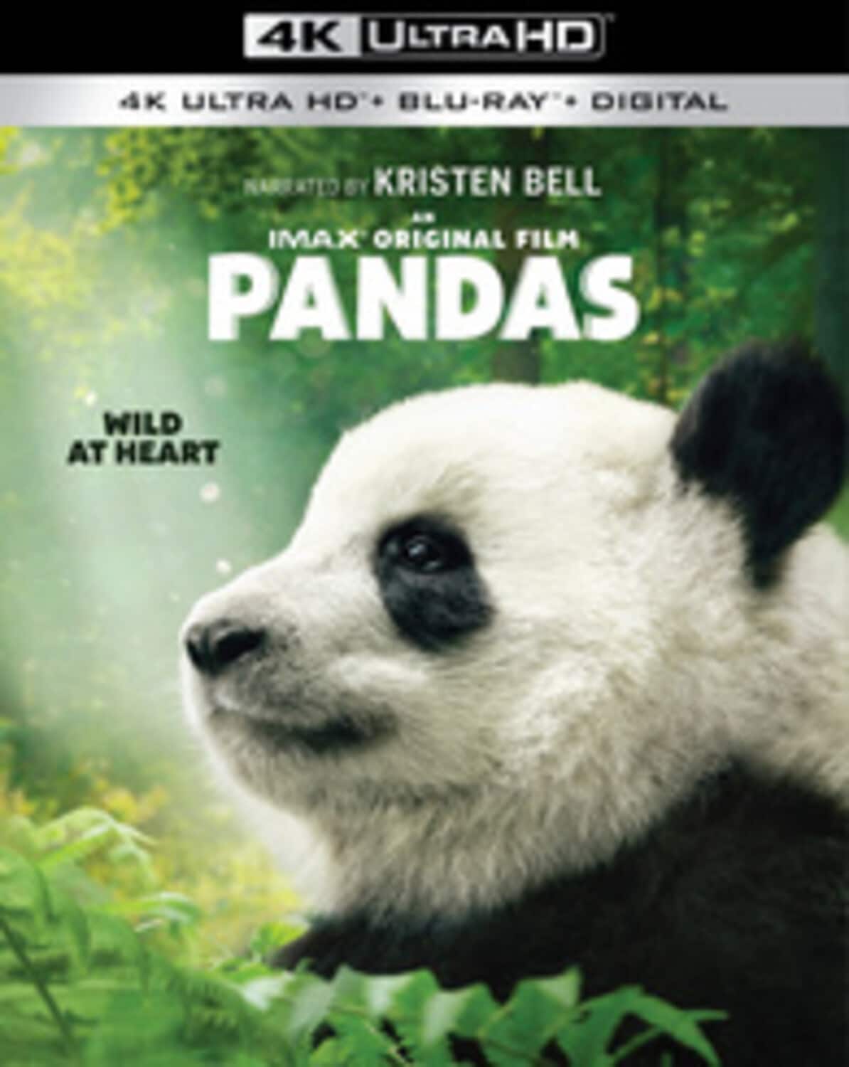 Pandas  - 4K Blu-Ray