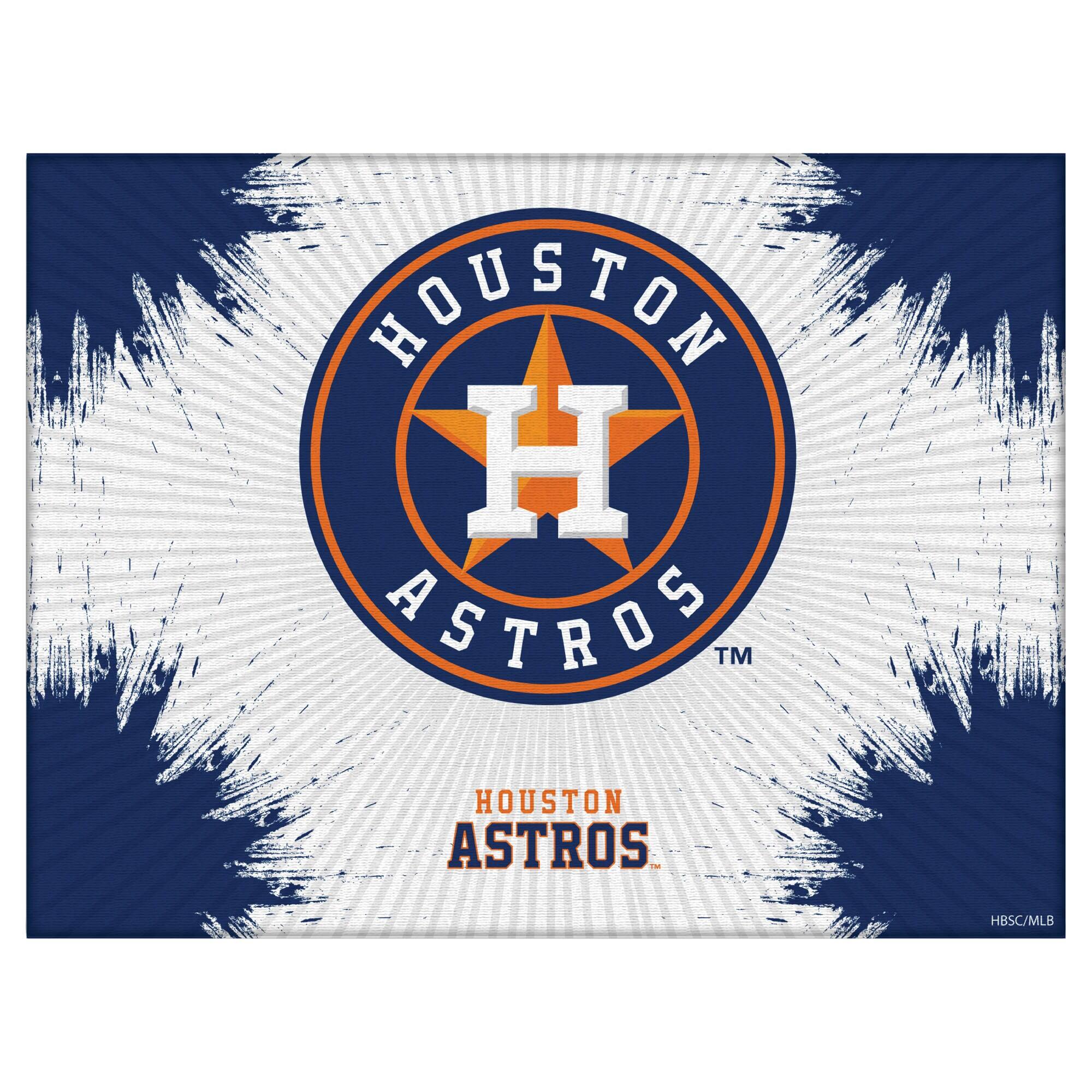 Houston Astros 15" x 20" Splash Canvas Wall Art
