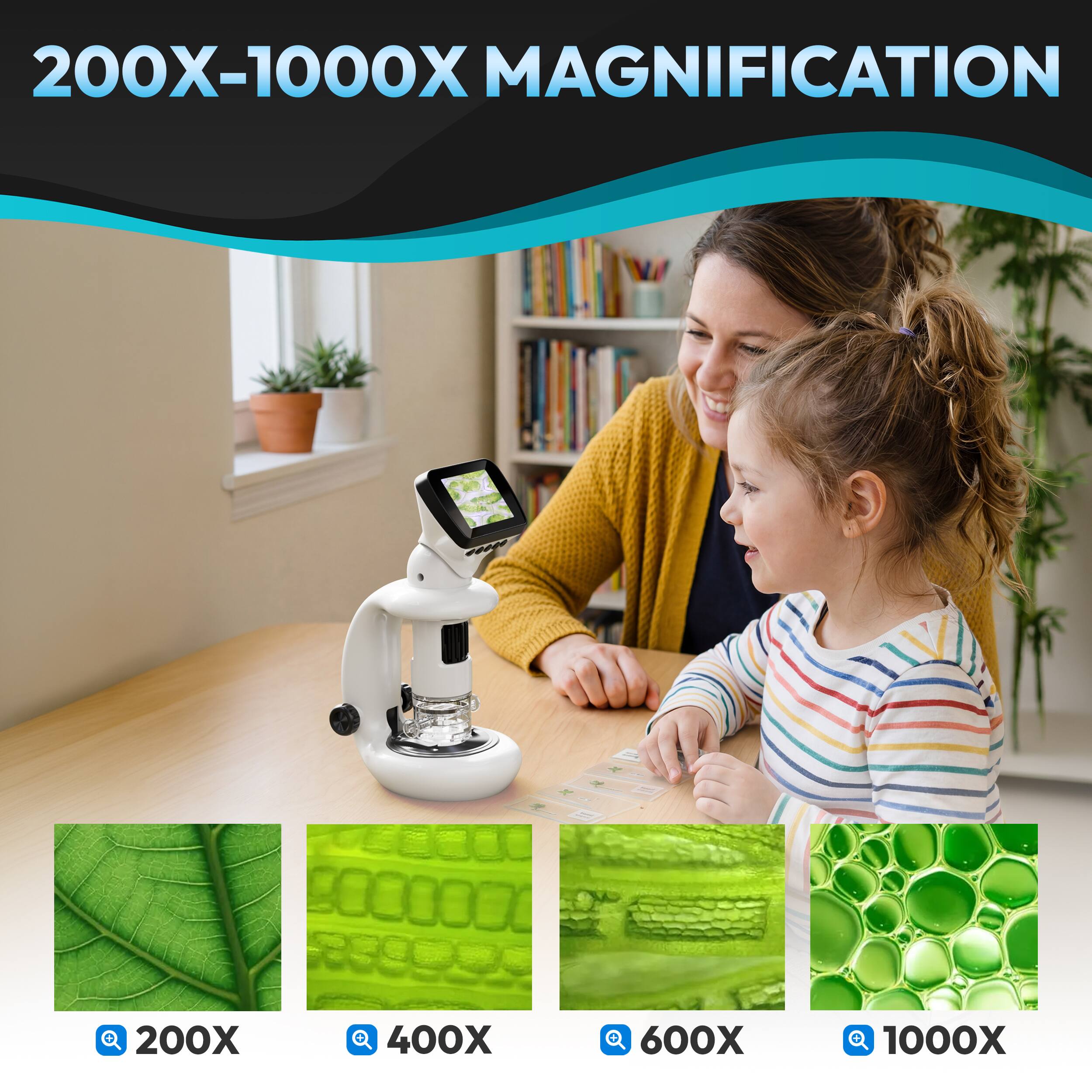 200X-1000X MAGNIFICATION

200X  
400X  
600X  
1000X