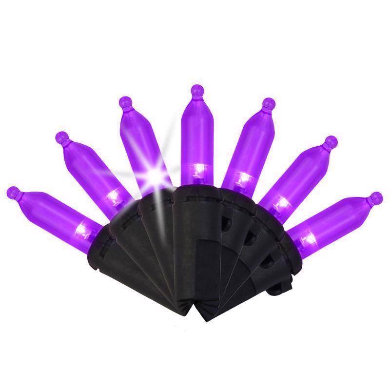Front. Celebrations - Purple 100 ct LED Mini Halloween String Lights - Purple.