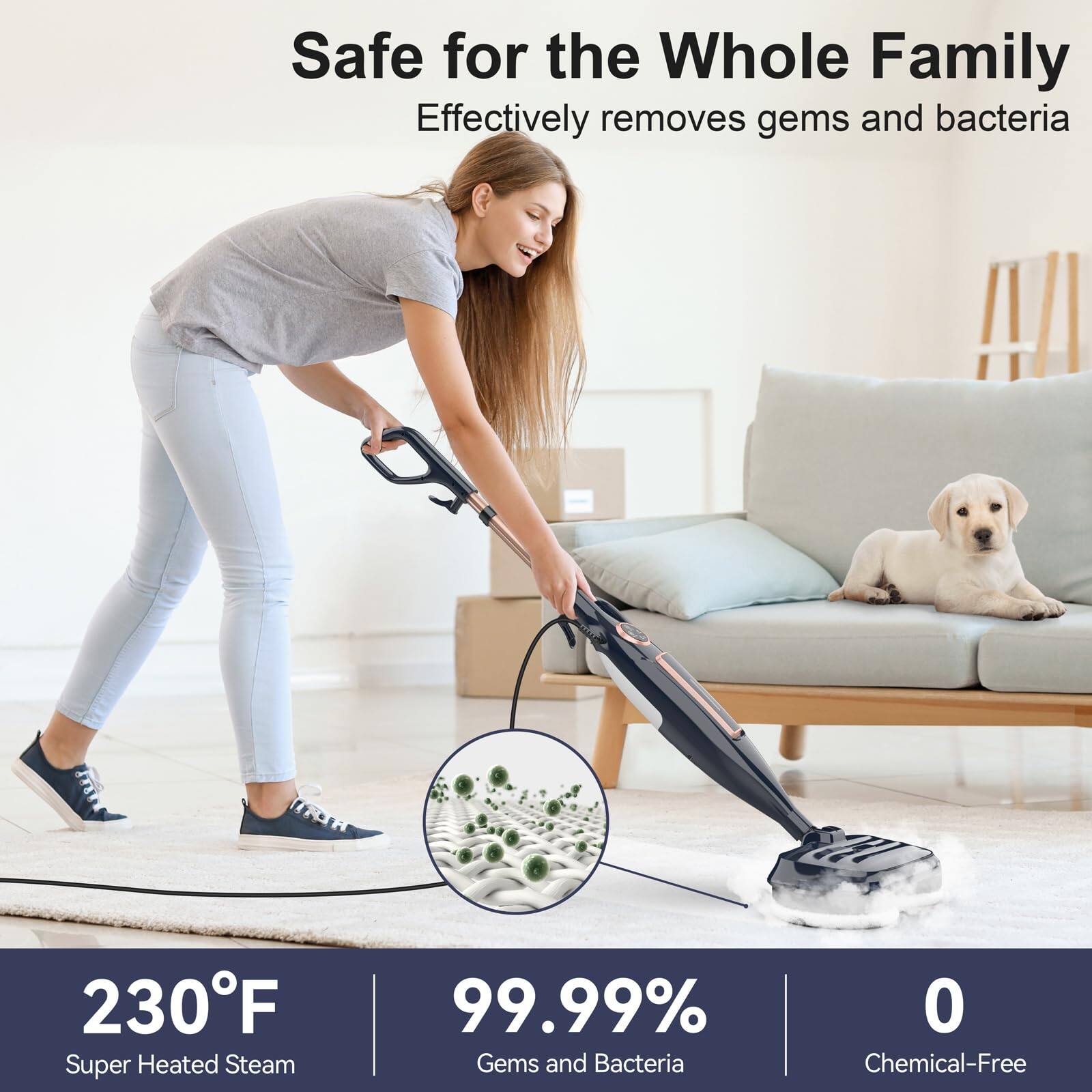 Safe for the Whole Family  
Effectively removes gems and bacteria  

230°F  
Super Heated Steam  

99.99%  
Gems and Bacteria  

0  
Chemical-Free