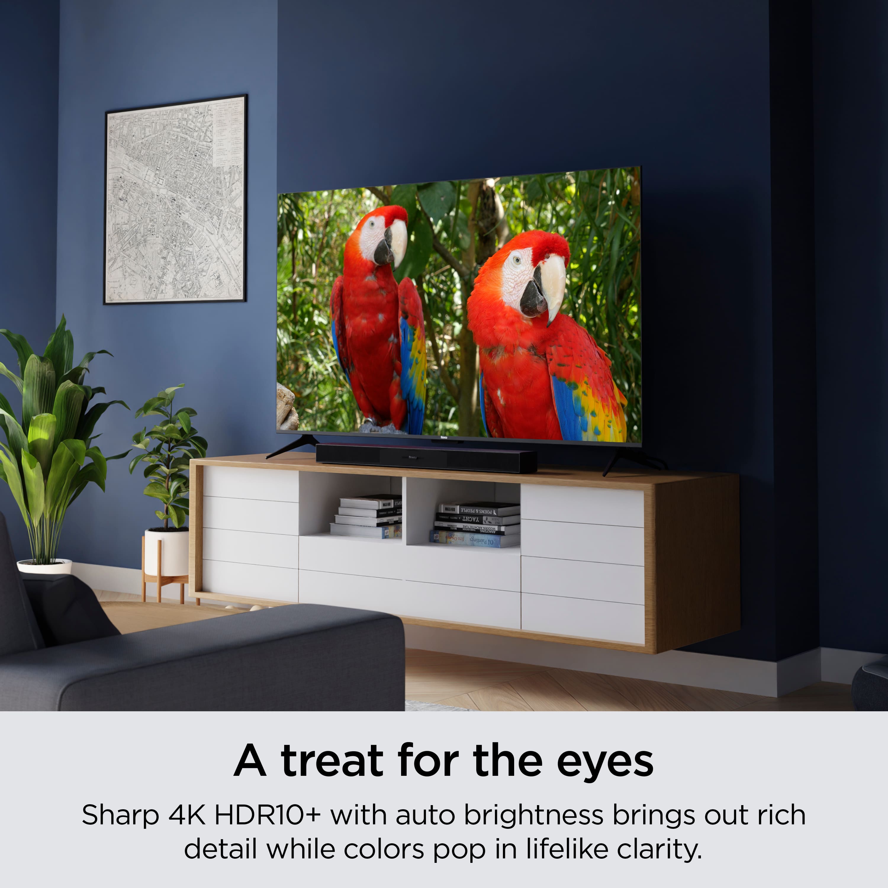 A treat for the eyes - Sharp 4K HDR10+ with auto brightness brings out rich detail while colors pop in lifelike clarity.