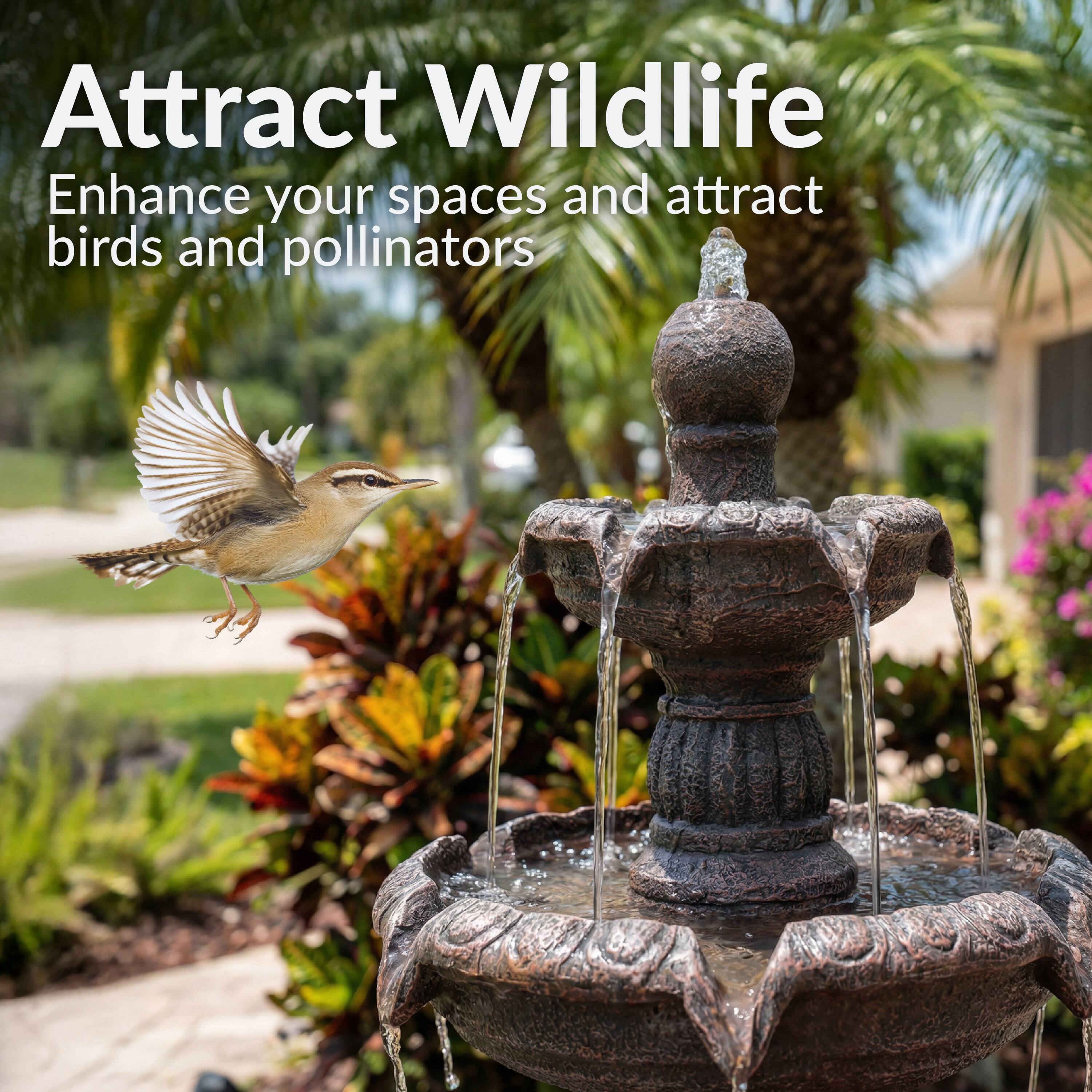 Attract Wildlife  
Enhance your spaces and attract birds and pollinators