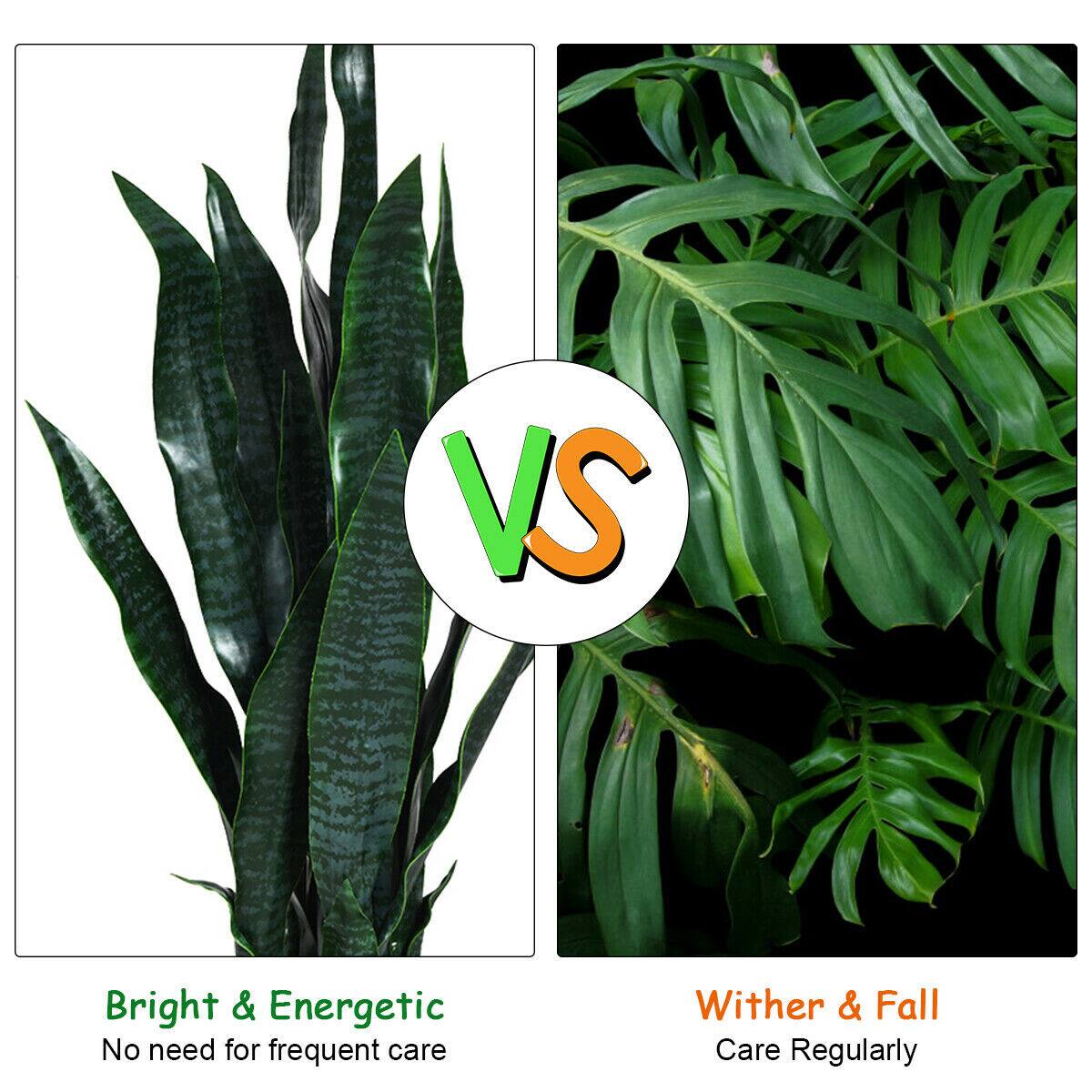 Bright & Energetic  
No need for frequent care

VS

Wither & Fall  
Care Regularly