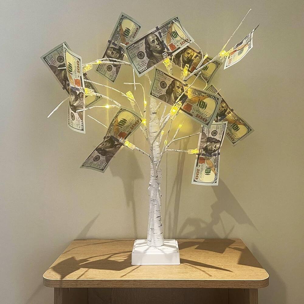 ACJPR - 2FT Money Tree – Birch Tree with 24 LEDs, 12 Clips, Battery/USB Powered, Timer, Gift Card & Photo Display Decor - White