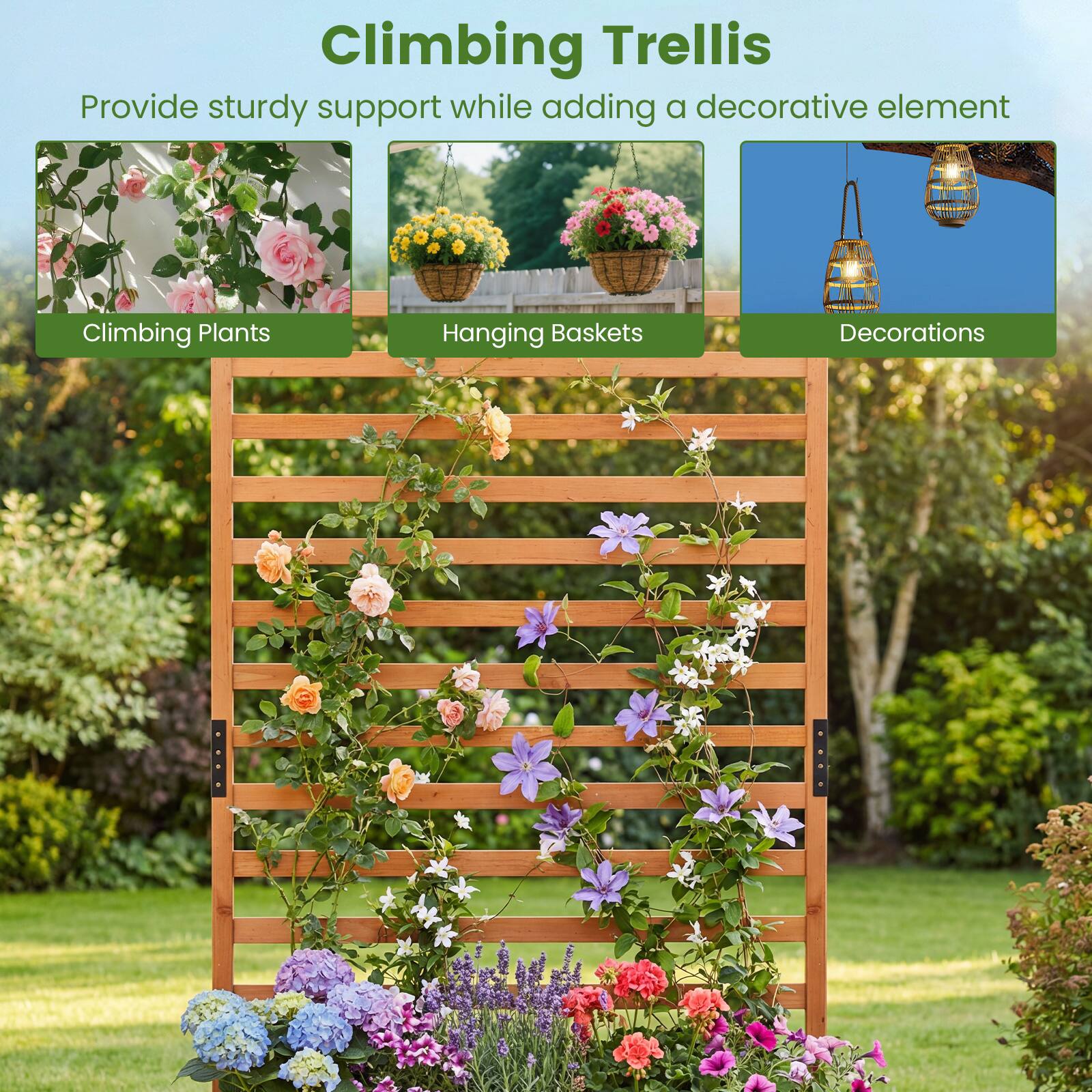Climbing Trellis  
Provide sturdy support while adding a decorative element  

Climbing Plants  
Hanging Baskets  
Decorations