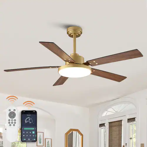 Ceiling Fans
