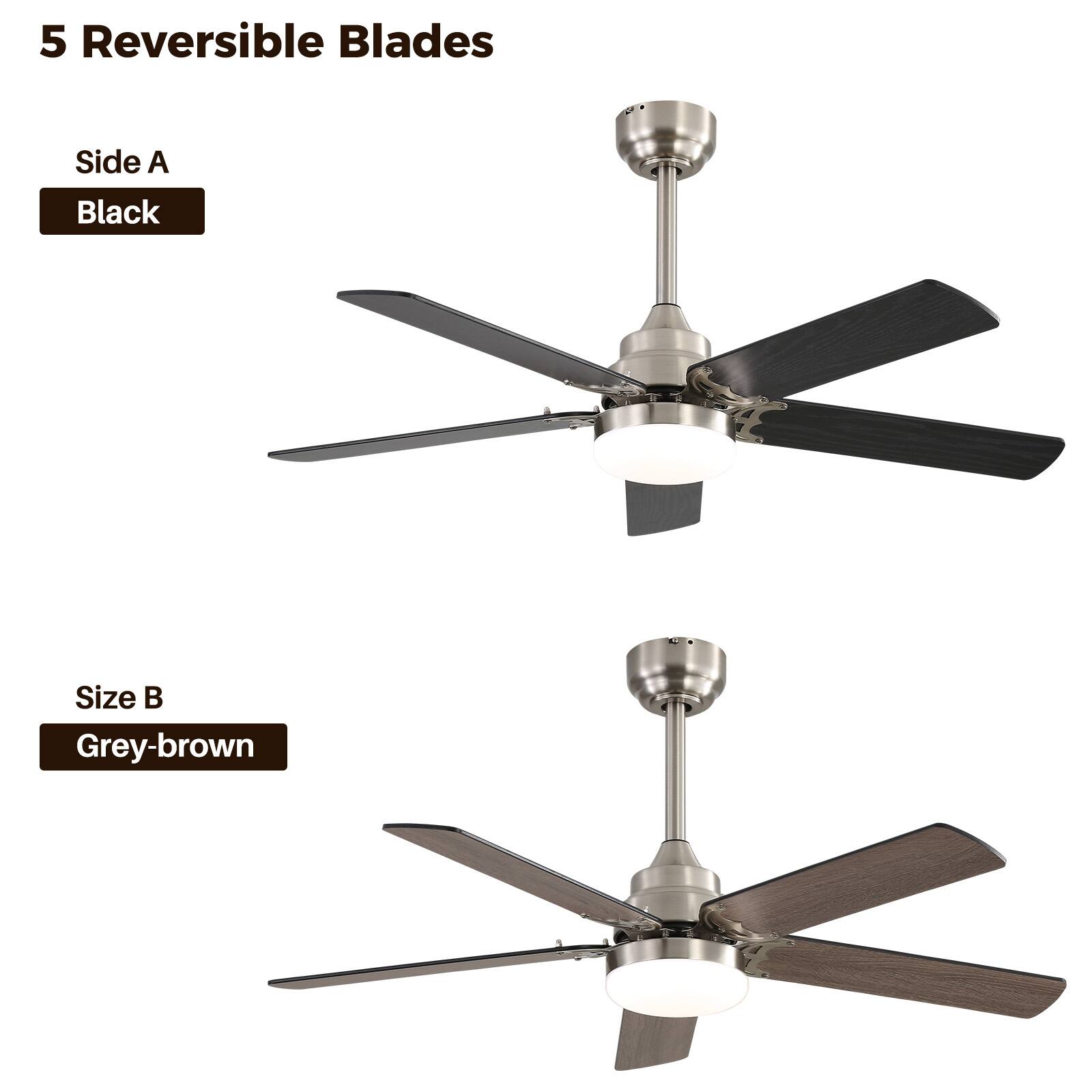 5 Reversible Blades
Side A Black
Size B Grey-brown