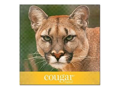 cougar digital