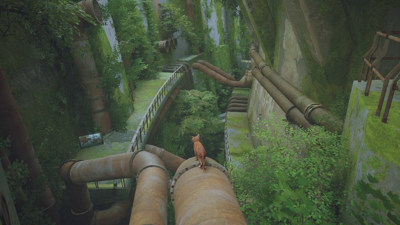 Alt View 11. Skybound - Stray.