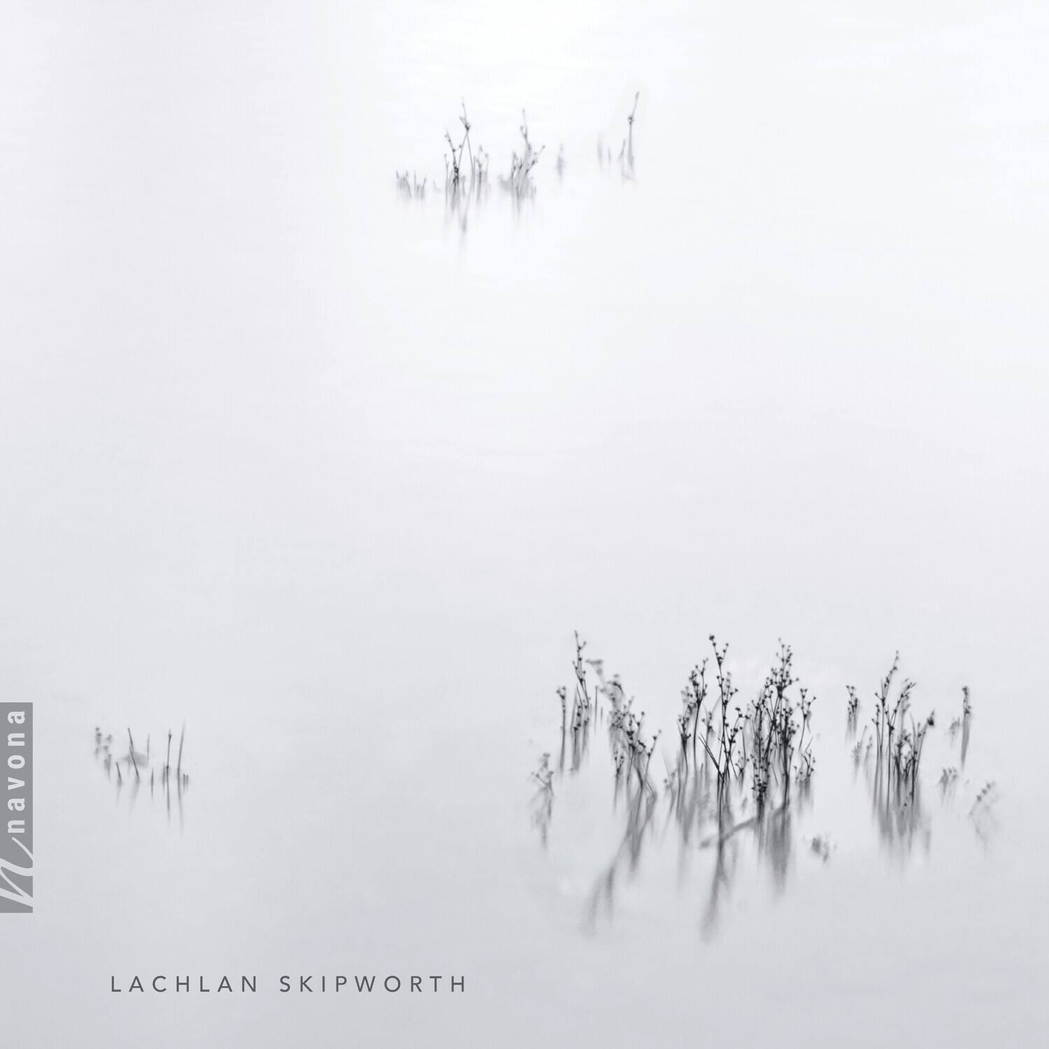 navona  
LACHLAN SKIPWORTH