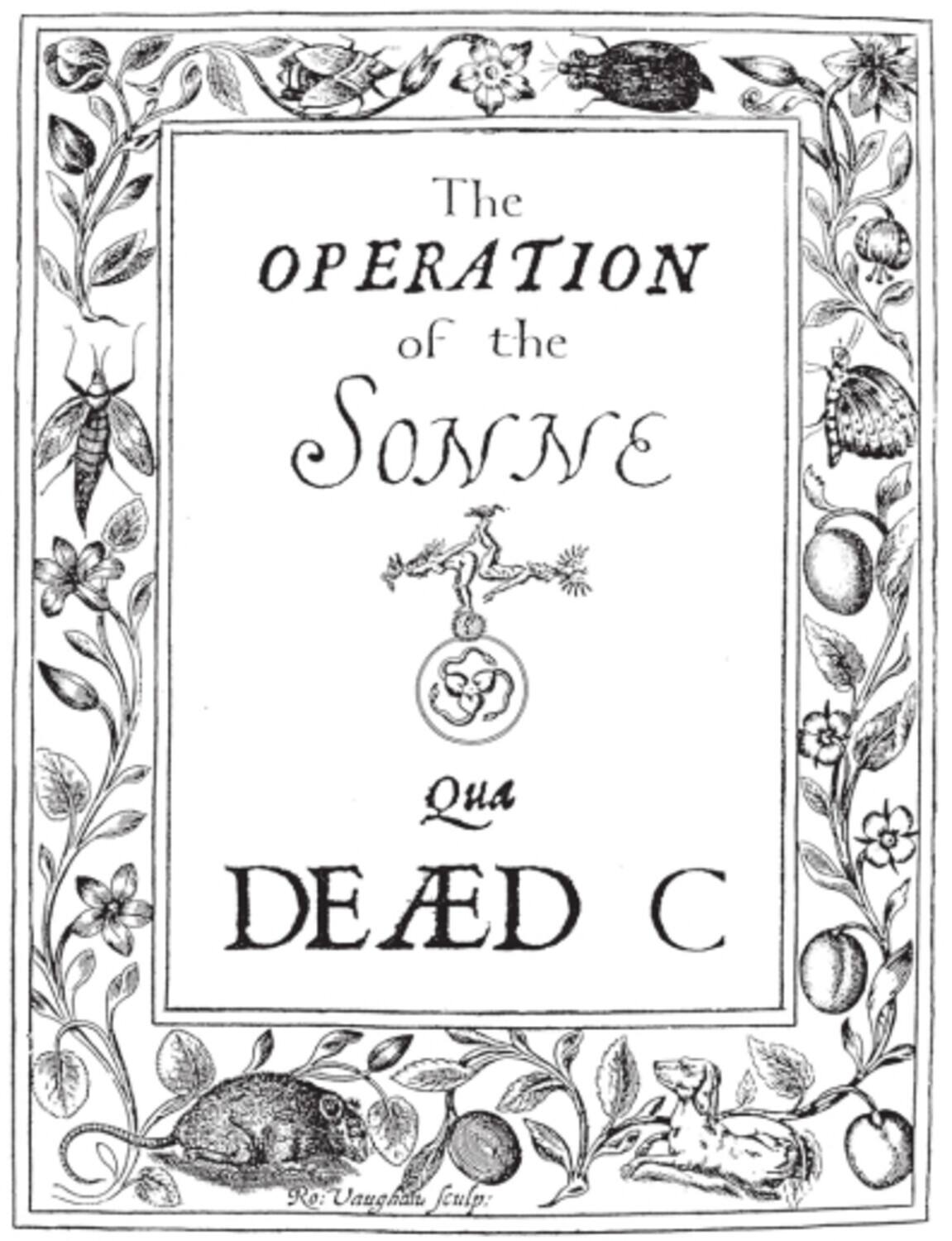 The OPERATION of the SONNE Qua DEAD C