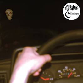White Reaper - White Reaper Does It Again - VINYL LP
