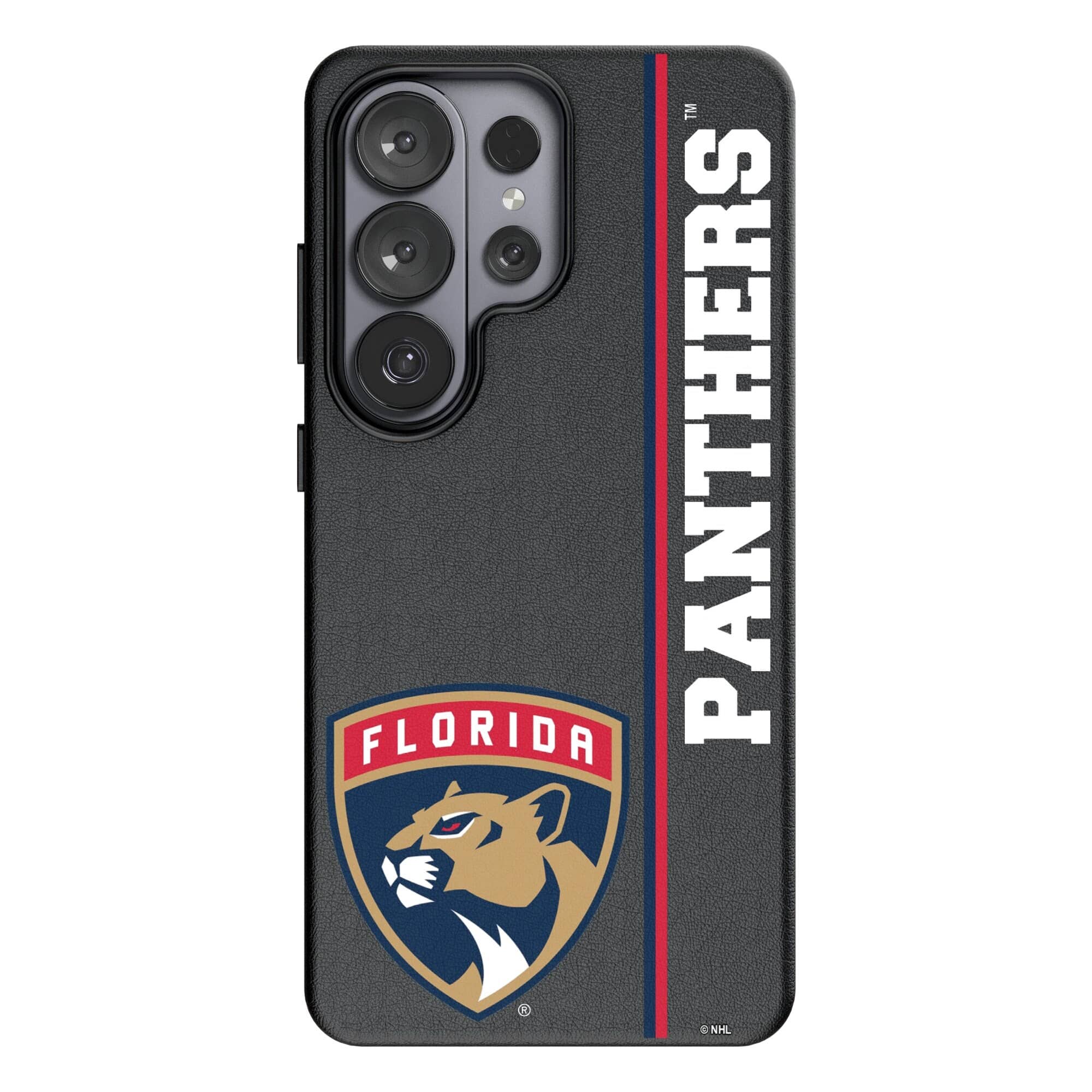 Keyscaper - NHL - Florida Panthers Galaxy Magnetic Bump Case - S24 Plus - Black price history on PriceWatchPro
