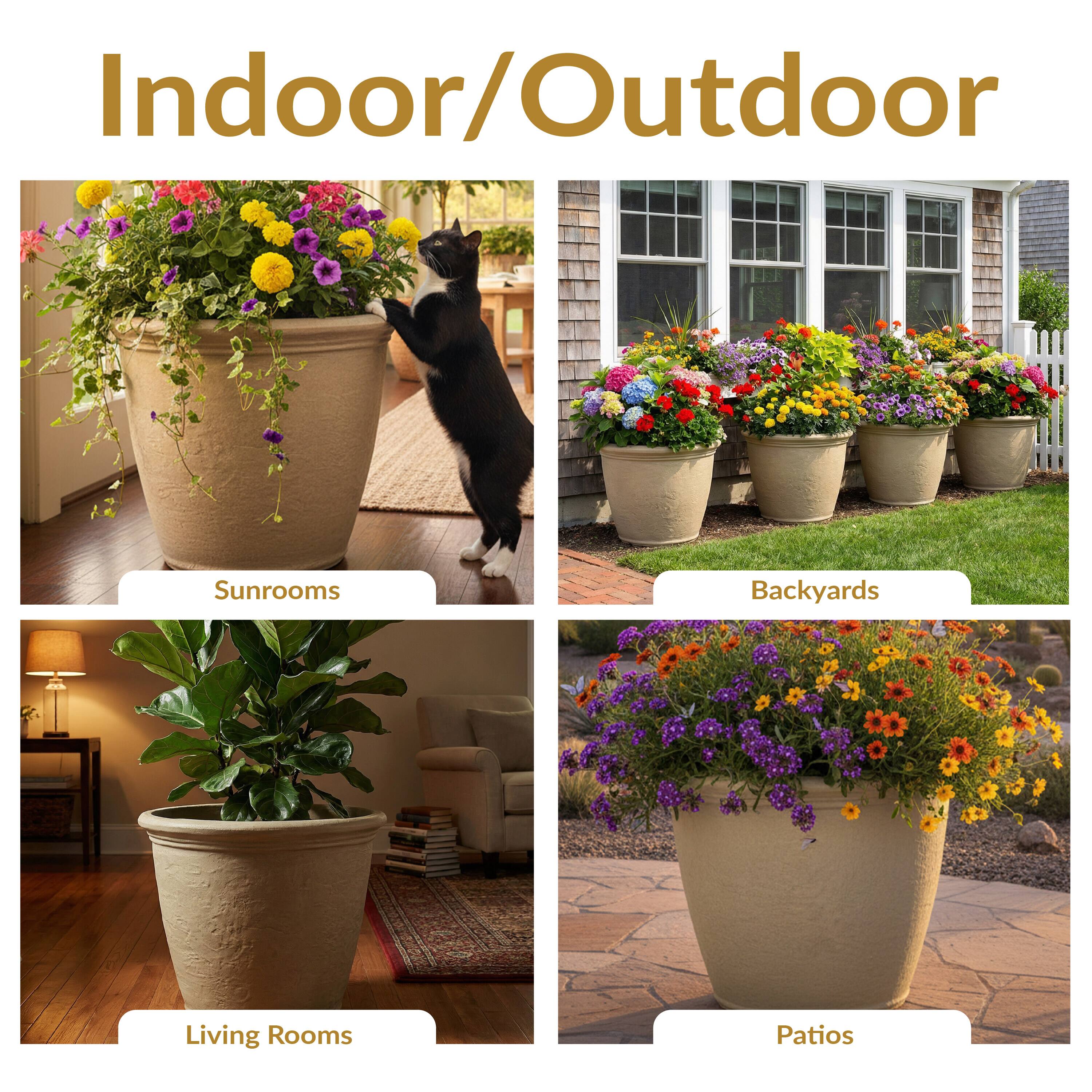 Indoor/Outdoor

Sunrooms  
Backyards  
Living Rooms  
Patios