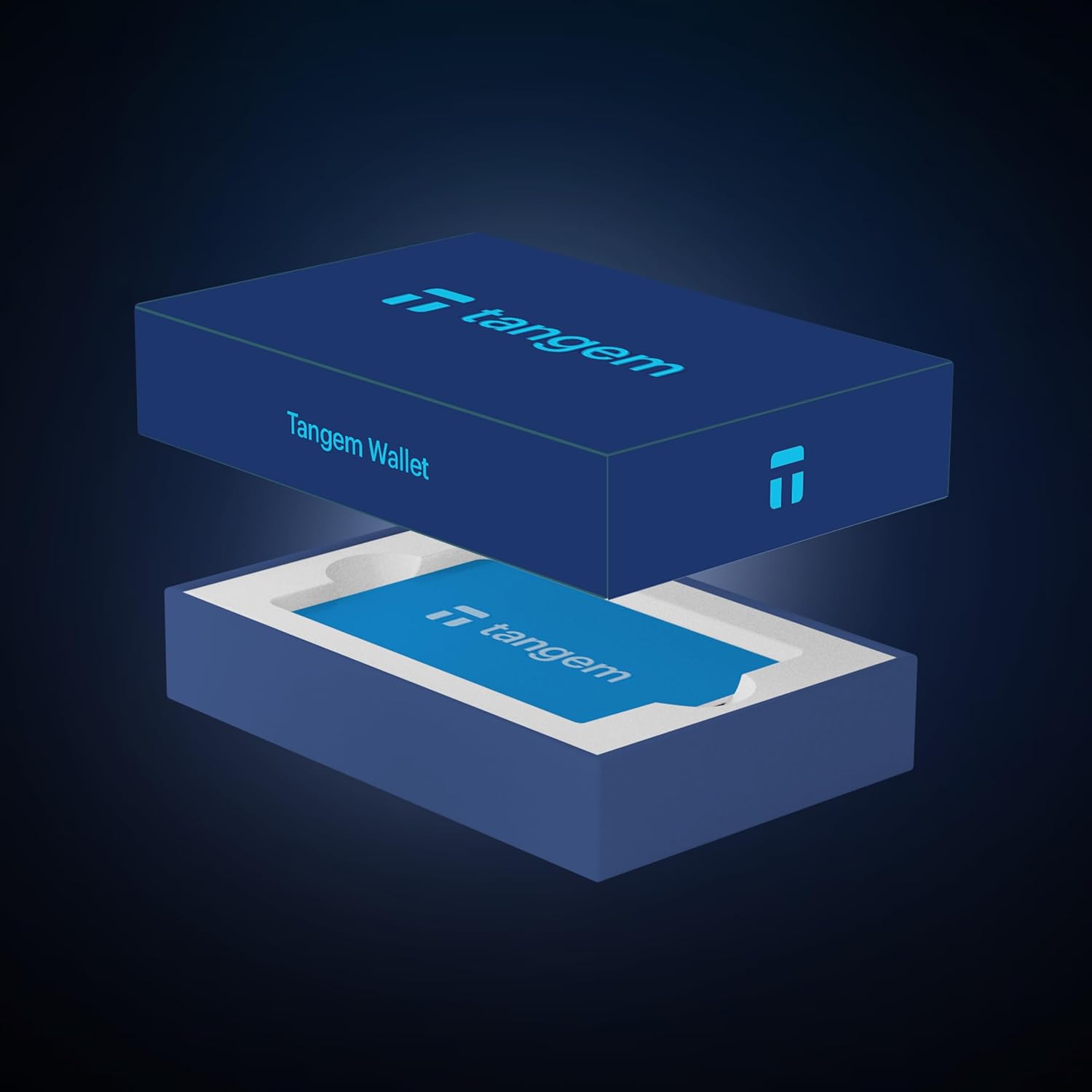 Tangem Wallet  
Tangem