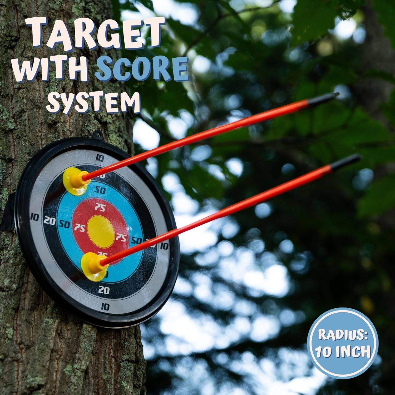 TARGET WITH SCORE SYSTEM 10 20 50 75 75 50 75 10 20 10 RADIUS: 10 INCH