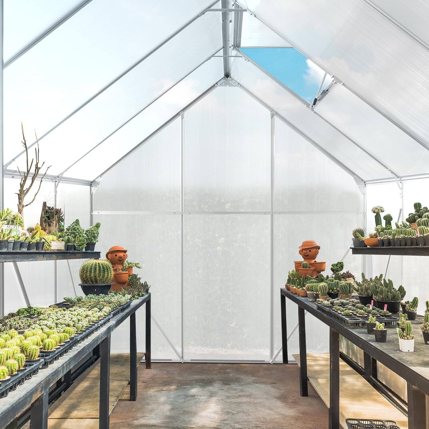 Back. Winado - 6x8 FT Greenhouses for Outdoors, Polycarbonate Greenhouse, Large Walk-in Greenhouse with Quick Setup Structure and Roof.