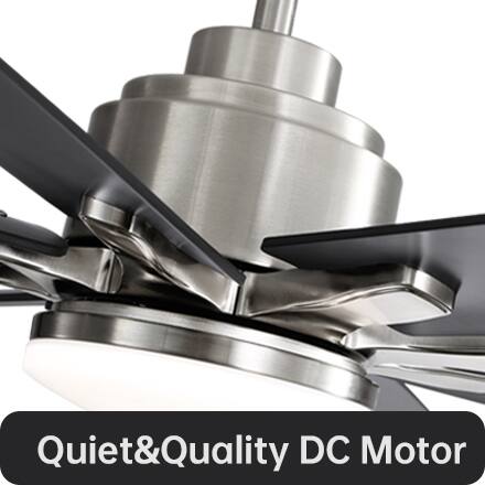 Quiet & Quality DC Motor