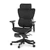 Front. FlexiSpot - C7 Max Premium Ergonomic Mesh Seat Office Chair with Retractable Footrest - Black.