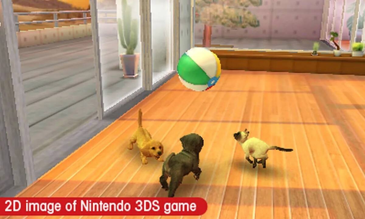 2D image of Nintendo 3DS game