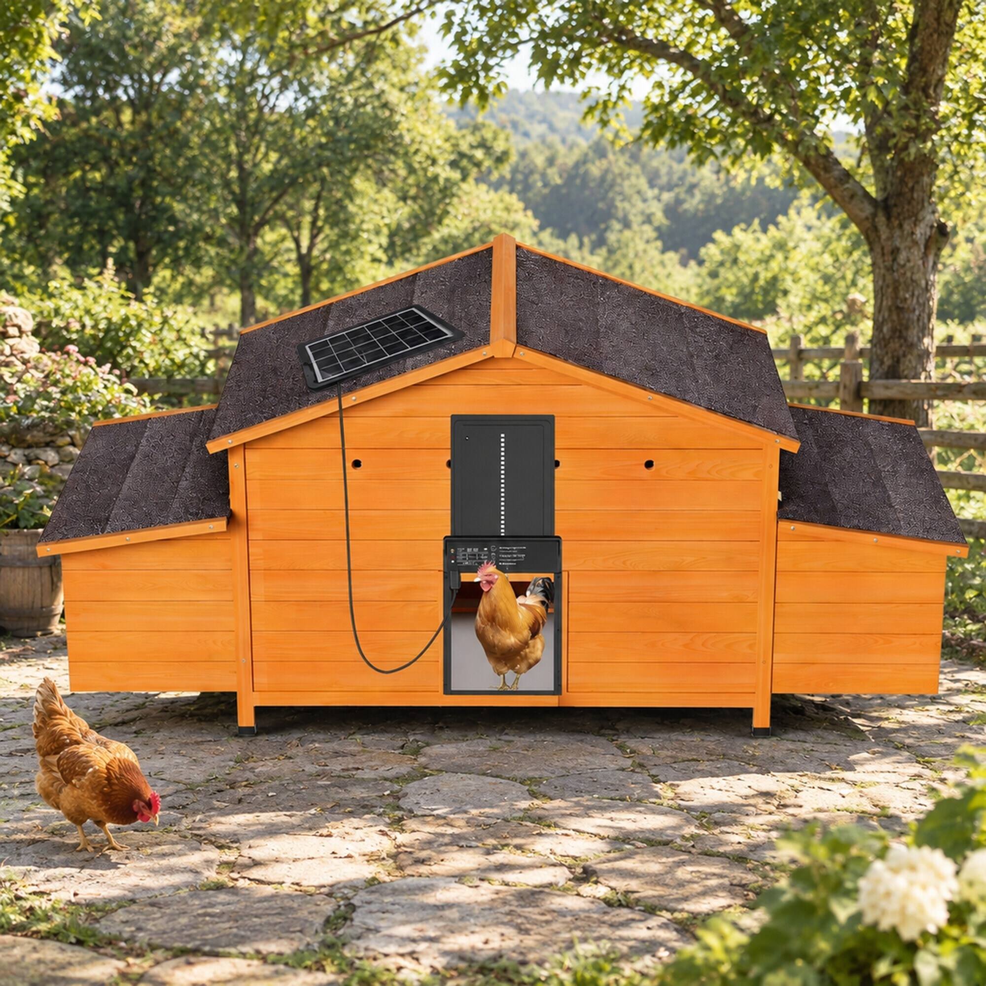 Angle. RYHNUYNE - 70 Inch Automatic Chicken Coop, Solar Powered Door, Solid Wood, 2 Nesting Boxes, Pull Out Tray.
