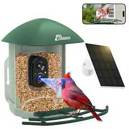 CoolFly - x Richbird - Smart Bird Feeder with 2.5K HD Camera, AI Species ID, and Solar Panel - Green