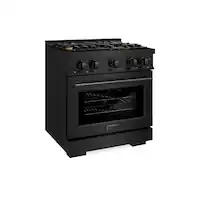 ZLINE - 30 in. 4.2 cu. ft. Freestanding Select Gas Range w/ Convection Oven in Black Stainless & 4 Brass Burners - Black Stainless Steel - Front_Zoom