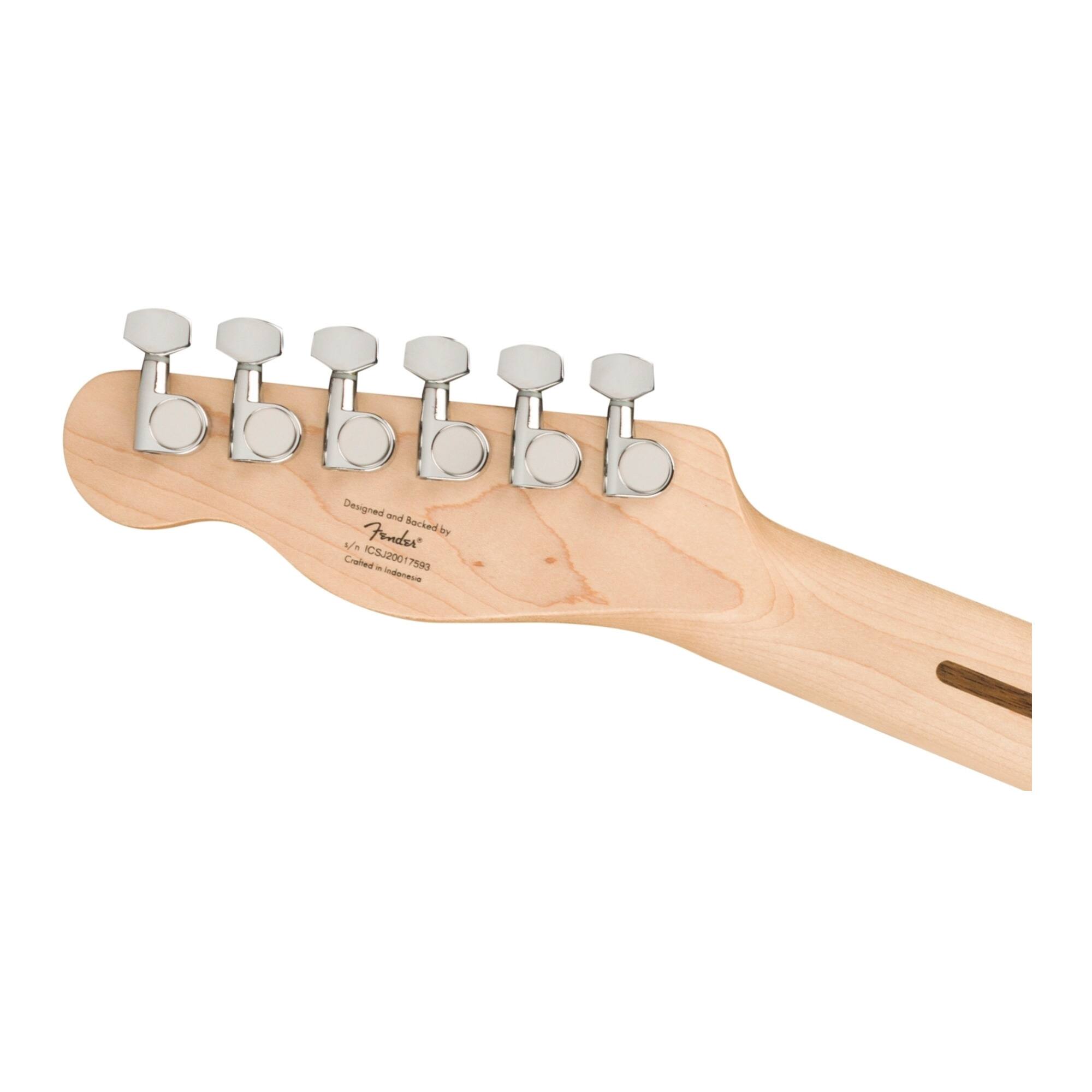 Designed and Backed by Fender  
ICSJ20017593 - T5R  
Crafted in Indonesia